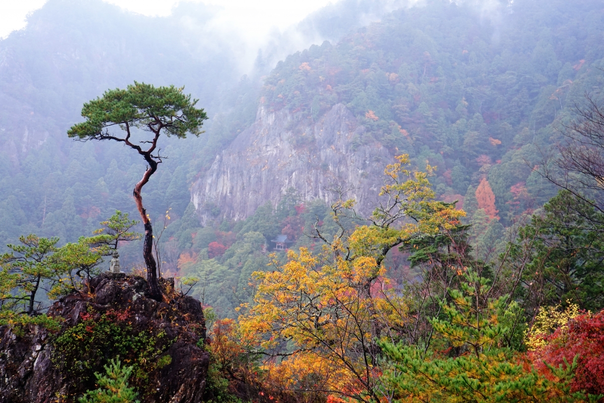 寺山 鳳来