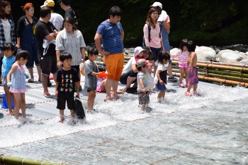 鮎のつかみどり（広見ヤナ）