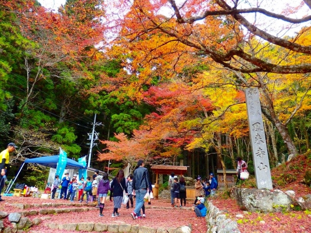 鳳来寺山もみじまつり キラッと奥三河観光ナビ