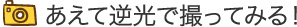 あえて逆光で撮ってみる！