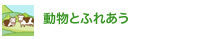 動物とふれあう