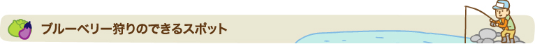 ブルーベリー狩りスポット