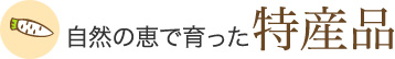 自然の恵で育った 特産品