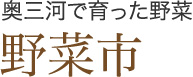 奥三河で育った野菜 野菜市