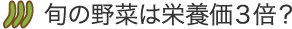 旬の野菜は栄養価３倍？