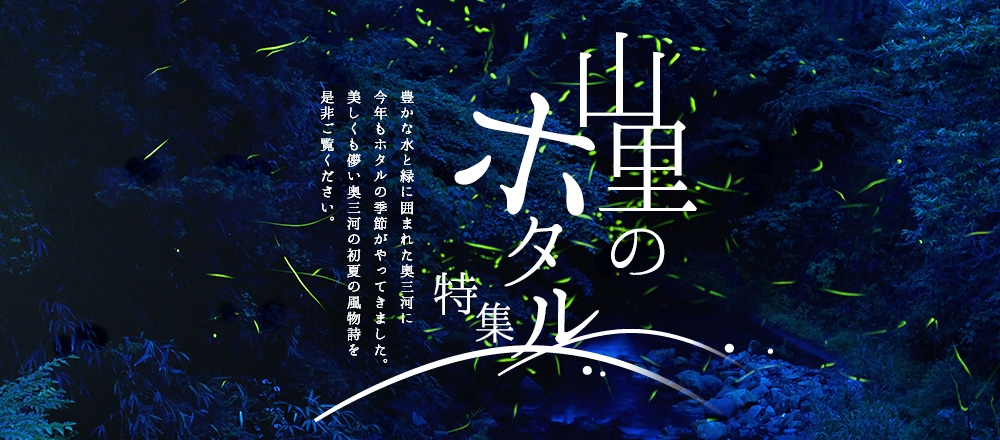 ホタル特集
