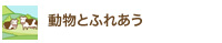 動物とふれあう