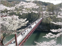 桜淵公園