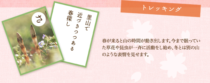 トレッキング 春が来ると山の時間が動き出します。今まで眠っていた草花や昆虫が一斉に活動をし始め、冬とは別の山のような表情を見せます。