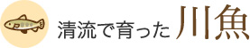 清流で育った川魚