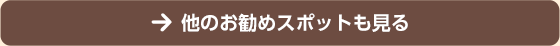 他のお勧めスポットも見る