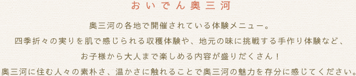 おいでん奥三河 奥三河の各地で開催されている体験メニュー。四季折々の実りを肌で感じられる収穫体験や、地元の味に挑戦する手作り体験など、お子様から大人まで楽しめる内容が盛りだくさん！奥三河に住む人々の素朴さ、温かさに触れることで奥三河の魅力を存分に感じてください。