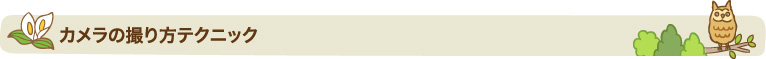 カメラの撮り方テクニック