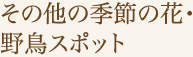 その他の季節の花・野鳥スポット