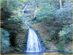 日本の滝100選の一つ　（新城）