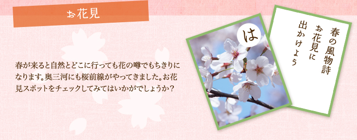 お花見 春が来ると自然とどこに行っても花の噂でもちきりになります。奥三河にも桜前線がやってきました。お花見スポットをチェックしてみてはいかがでしょうか？