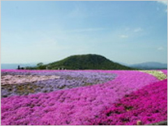 茶臼山高原