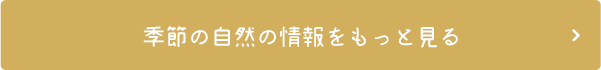 季節の自然の情報をもっと見る