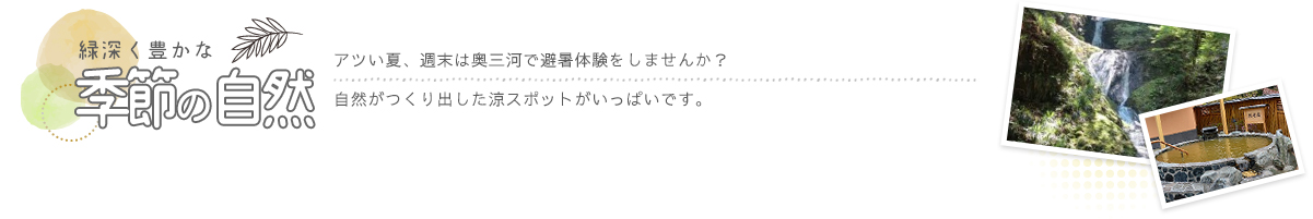 アツい夏、週末は奥三河で避暑体験をしませんか？自然がつくり出した涼スポットがいっぱいです。