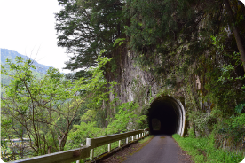 自然の中に溶け込む神秘的なトンネル