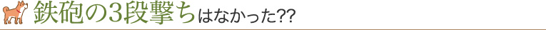 鉄砲の3段撃ちはなかった??