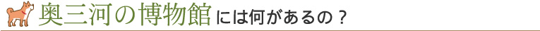 奥三河の博物館には何があるの？