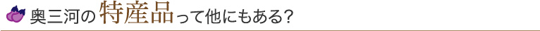 奥三河の特産品って他にもある？