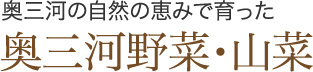 奥三河の自然の恵みで育った 奥三河野菜・山菜