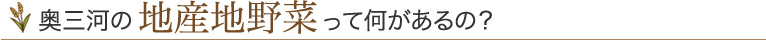 奥三河の地産地野菜って何があるの？