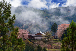 歴史の里 田峯城