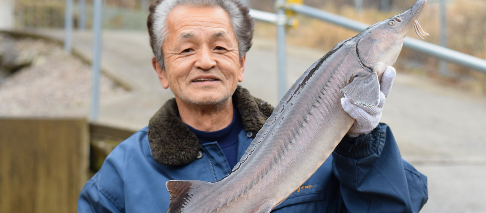 とよねチョウザメroyalfish 美を探しに行く Okumikawawake 愛知県 奥三河発ビューティーツーリズム のご案内