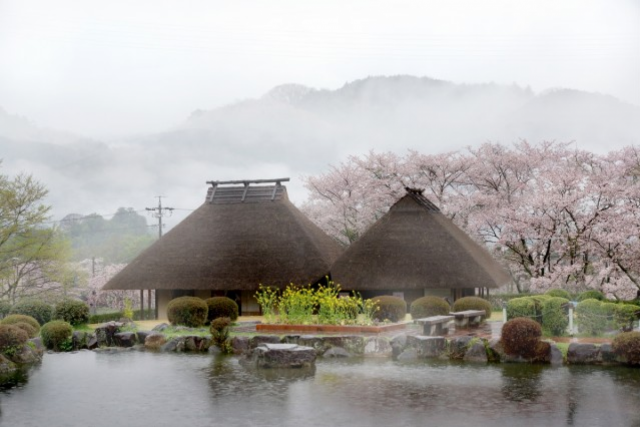 桜淵公園 キラッと奥三河観光ナビ 桜淵公園 キラッと奥三河観光ナビ