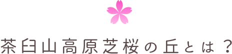 茶臼山高原芝桜の丘とは？