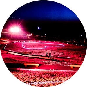 茶臼山高原芝桜の丘とは？