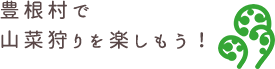 豊根村で山菜狩りを楽しもう!