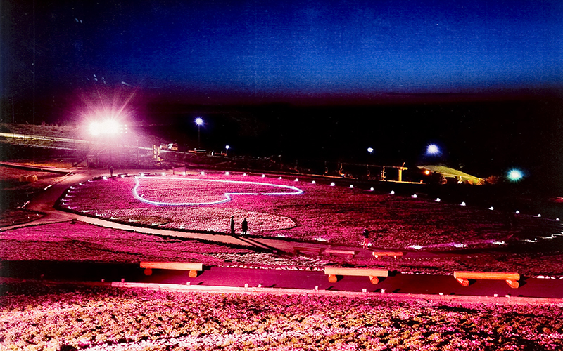 夜間ライトアップ