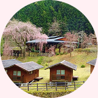 バンガロー村「古里とみやま」