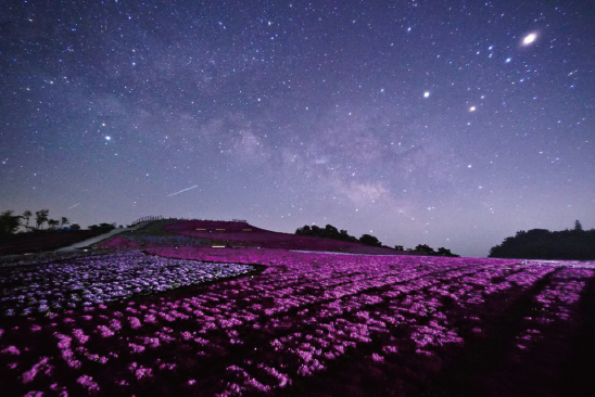 奥三河はどうしてそんなに星がきれいに見えるの？