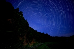 空と地上の星たち