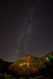 星淡照強