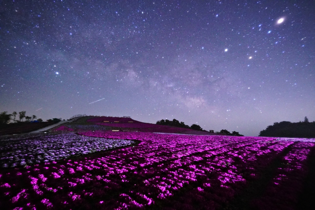 茶臼山高原