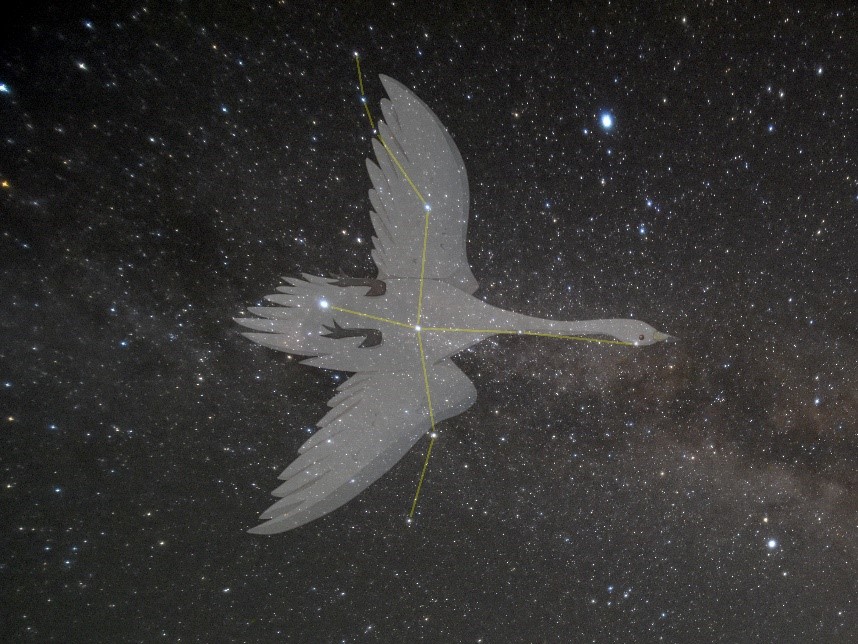夏の星座 はくちょう座にまつわるお話 1 愛知県の星空の聖地 奥三河 星空観察案内サイト 夏の星座 はくちょう座にまつわるお話 1 愛知県の星空の聖地 奥三河 星空観察案内サイト