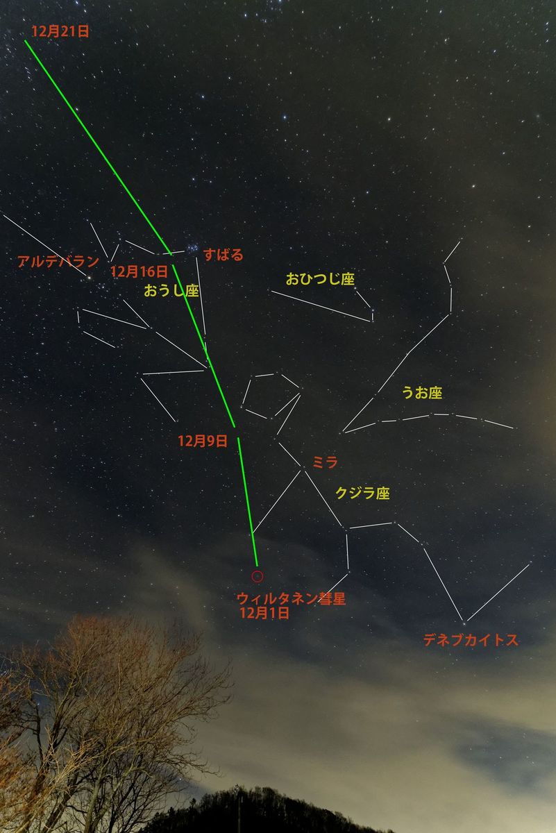 ウィルタネン彗星 愛知県の星空の聖地 奥三河 星空観察案内サイト