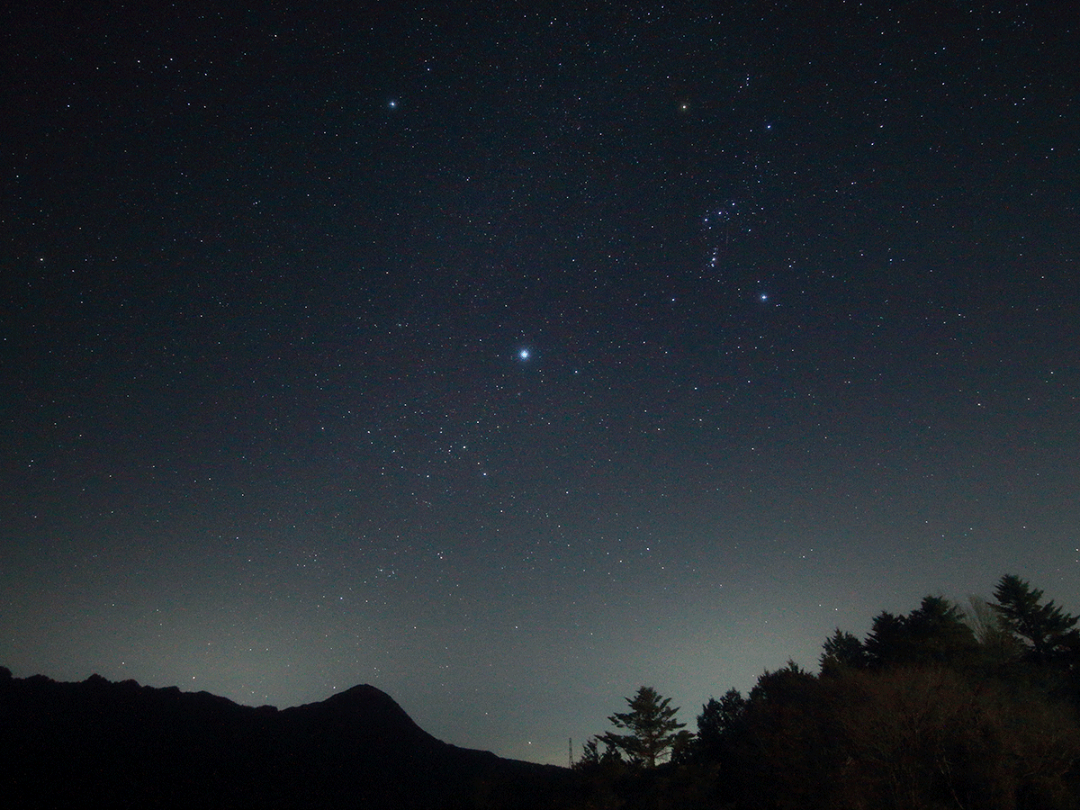冬の星座と南極老人星カノープス