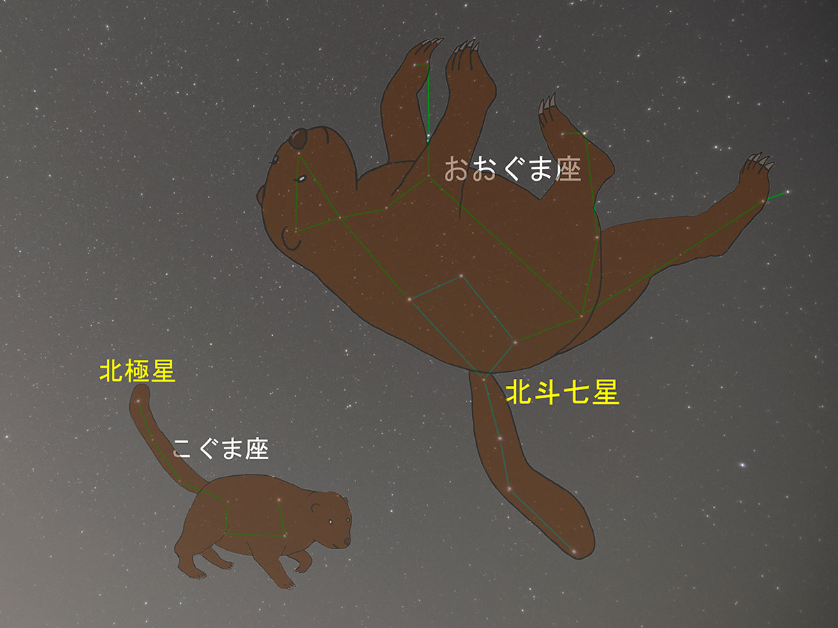 そうだ奥三河に行こう！春の星座 おおぐま・こぐまは「星めぐりのめじるし」
