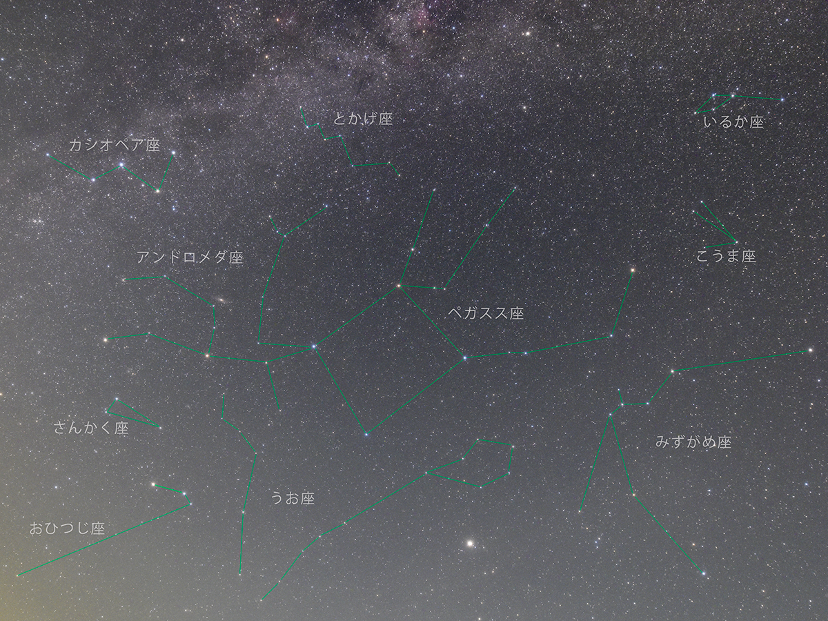 そうだ、奥三河に行こう！ 秋の小さな星座、こうま座とさんかく座を見つけよう