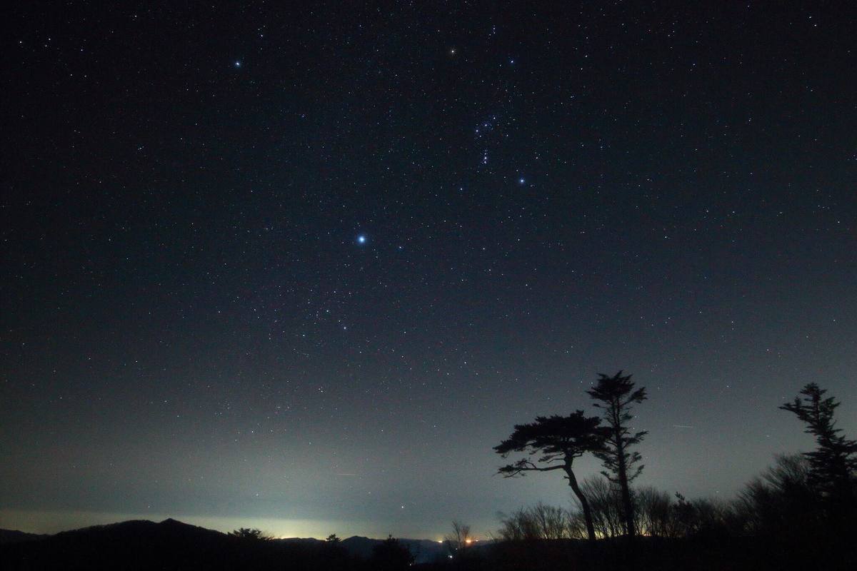 冬の星空散歩～カノープスを見よう！～