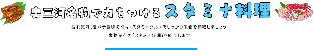 奥三河名物で力をつけるスタミナ料理